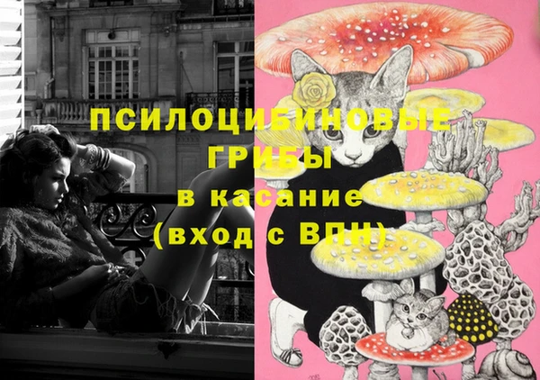 амфетамин Алексин