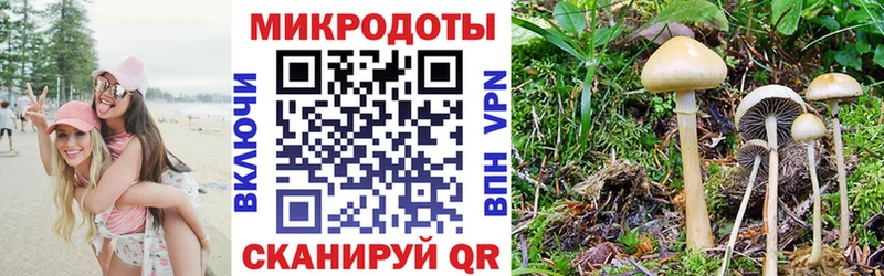 Галлюциногенные грибы мицелий  Камешково 